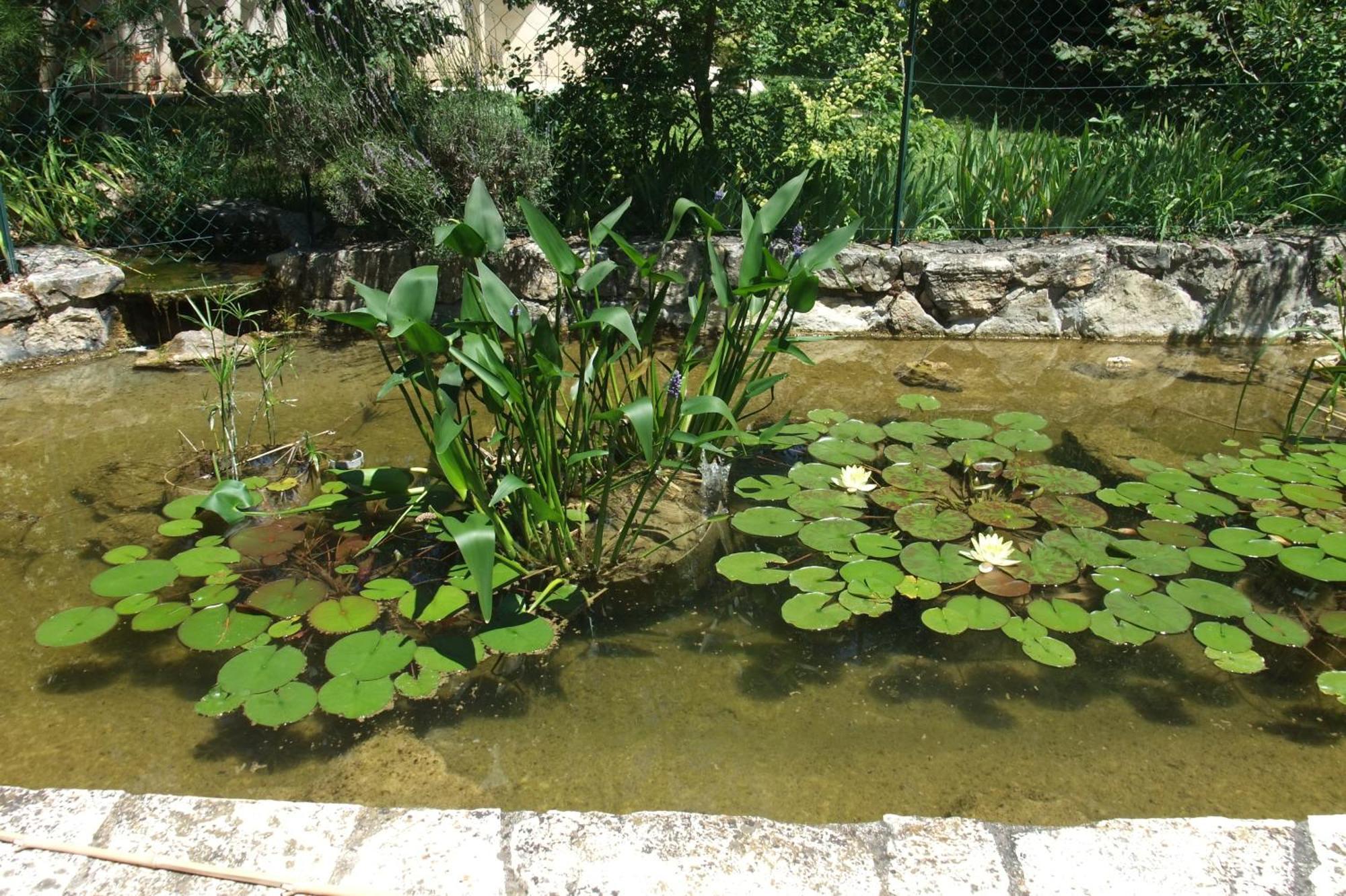 מוטורו Gite La Paillote מראה חיצוני תמונה